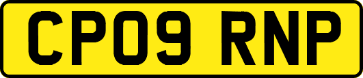 CP09RNP