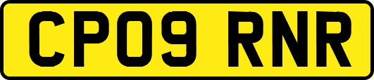 CP09RNR