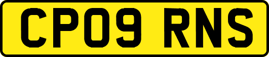 CP09RNS
