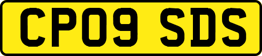 CP09SDS