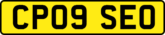 CP09SEO