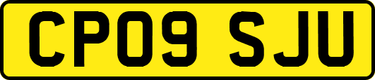 CP09SJU