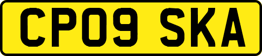CP09SKA