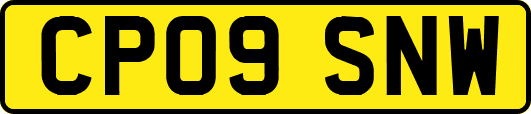 CP09SNW