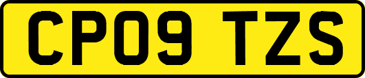 CP09TZS