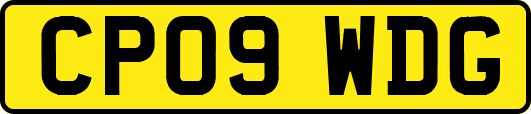 CP09WDG
