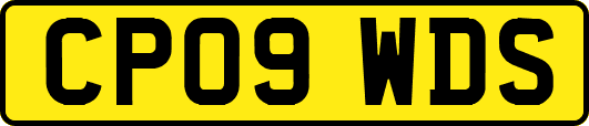 CP09WDS