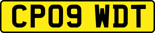 CP09WDT