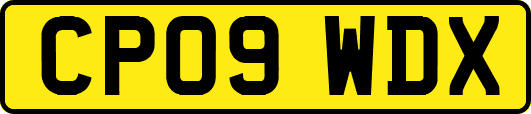 CP09WDX