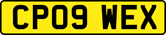 CP09WEX