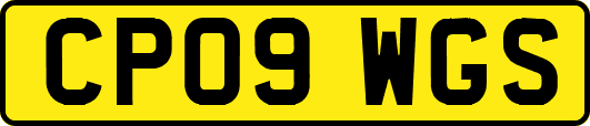 CP09WGS