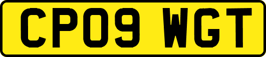 CP09WGT