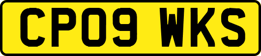 CP09WKS