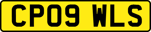 CP09WLS