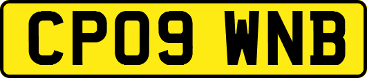 CP09WNB