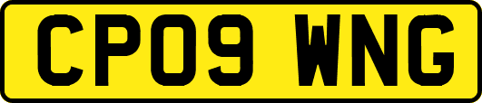 CP09WNG