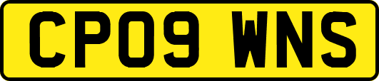 CP09WNS