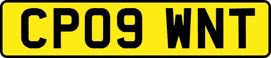 CP09WNT