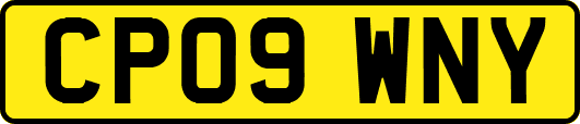 CP09WNY