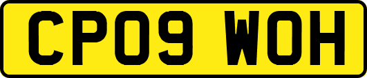 CP09WOH