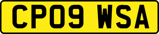 CP09WSA