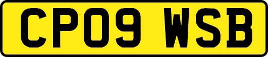 CP09WSB