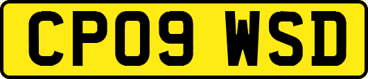 CP09WSD
