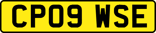 CP09WSE