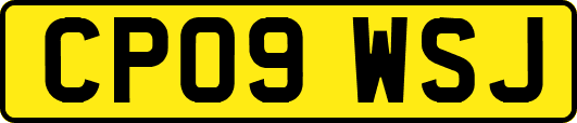 CP09WSJ
