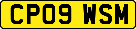 CP09WSM