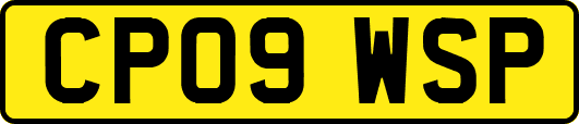 CP09WSP