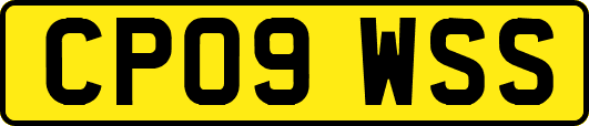 CP09WSS