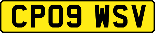 CP09WSV