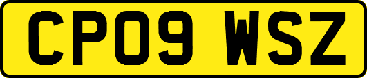 CP09WSZ