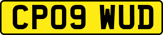 CP09WUD