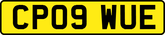 CP09WUE