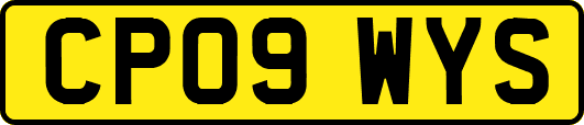 CP09WYS