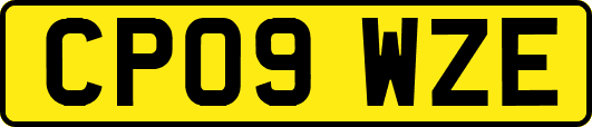 CP09WZE