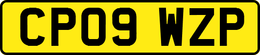 CP09WZP