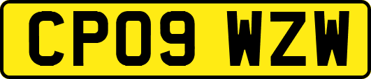 CP09WZW