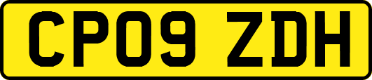 CP09ZDH