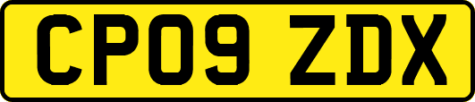 CP09ZDX