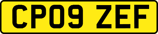 CP09ZEF