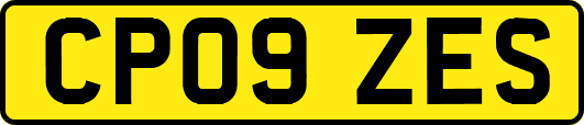 CP09ZES