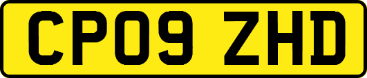 CP09ZHD