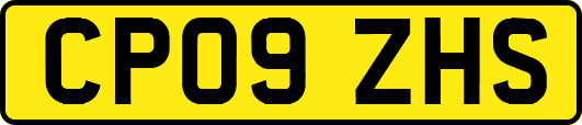 CP09ZHS