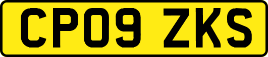 CP09ZKS