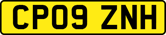 CP09ZNH