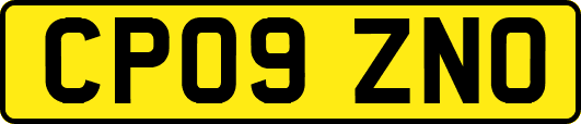 CP09ZNO