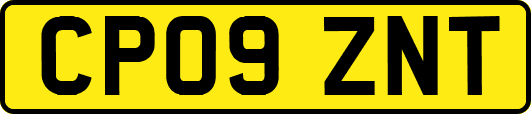 CP09ZNT
